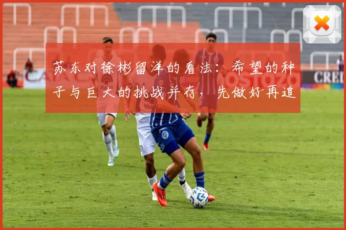 苏东对徐彬留洋的看法：希望的种子与巨大的挑战并存，先做好再追求完美