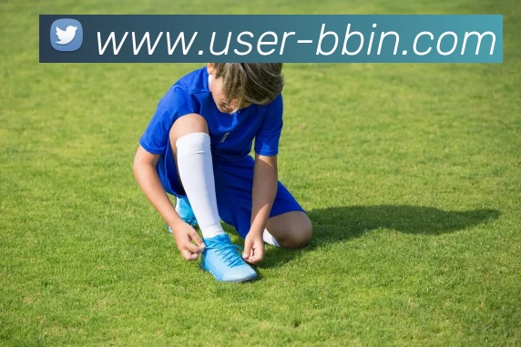 宝盈体育平台生态图